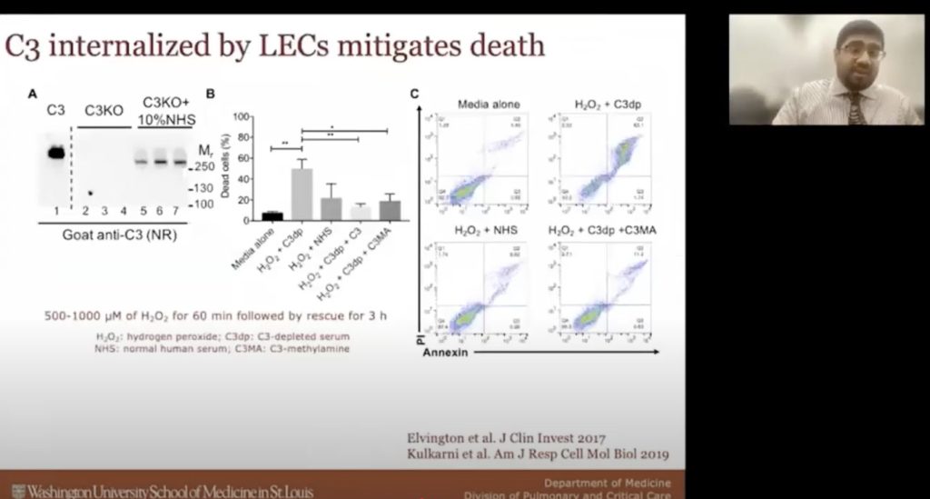 Plots showing how C3 internatlized by LECs mitgates death