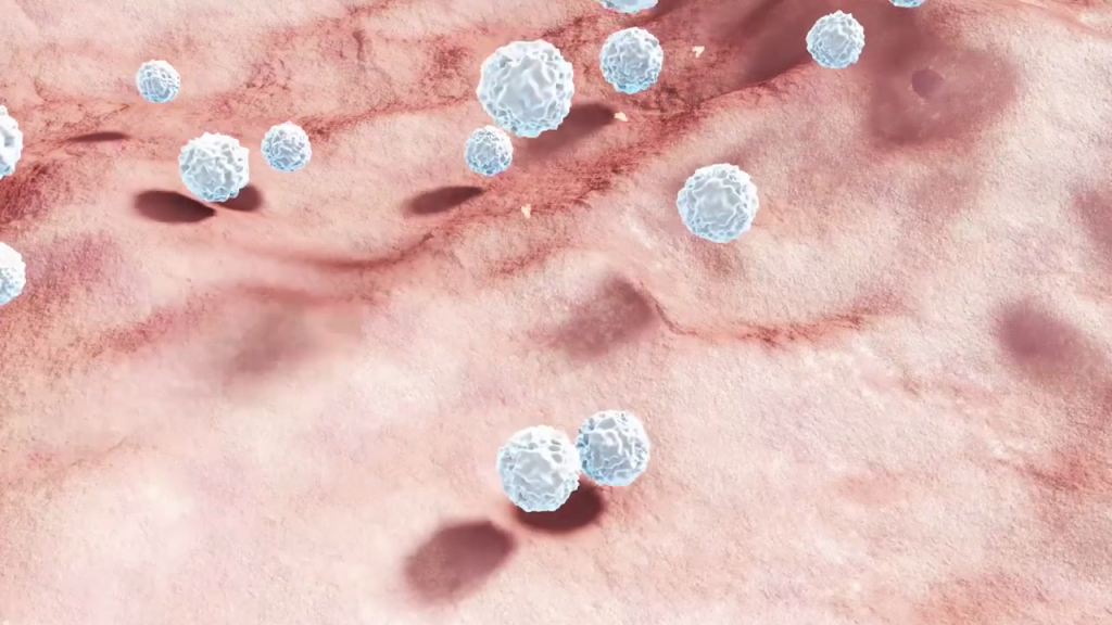 Image of immune cells